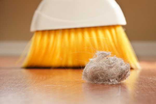 Reducing Indoor Dust and Dirt: